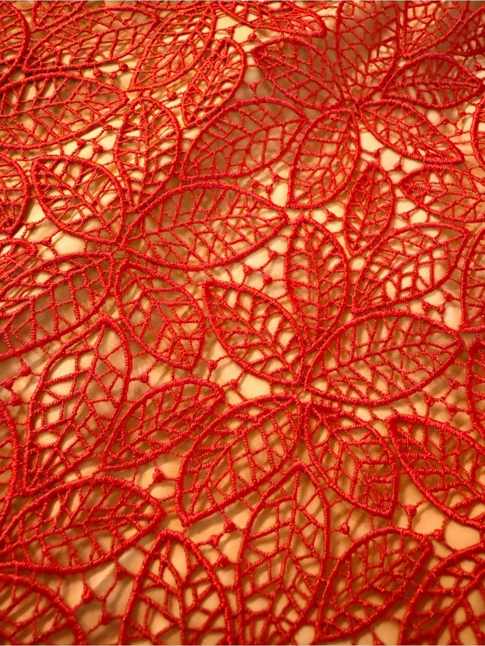 Red Lace Fit & Flare Dress - Brand: